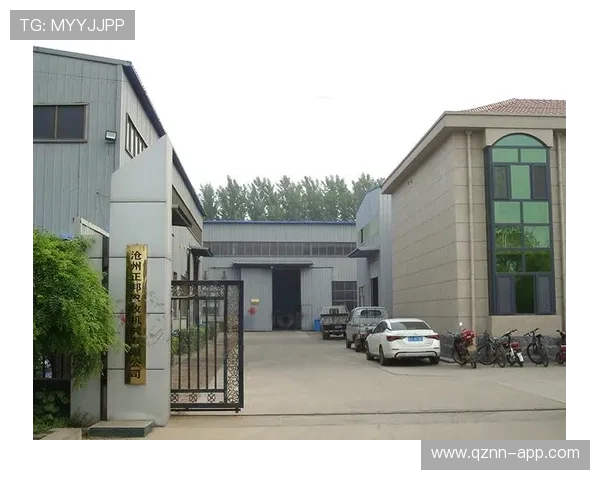 欧博abg中国官网登录入口官方入口指南，详细介绍登录流程与安全保障措施，保障玩家权益